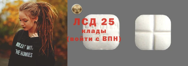 ПСИЛОЦИБИНОВЫЕ ГРИБЫ Балахна
