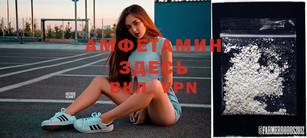 ПСИЛОЦИБИНОВЫЕ ГРИБЫ Балахна
