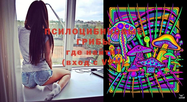 ПСИЛОЦИБИНОВЫЕ ГРИБЫ Балахна