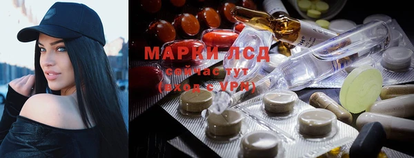 ПСИЛОЦИБИНОВЫЕ ГРИБЫ Балахна